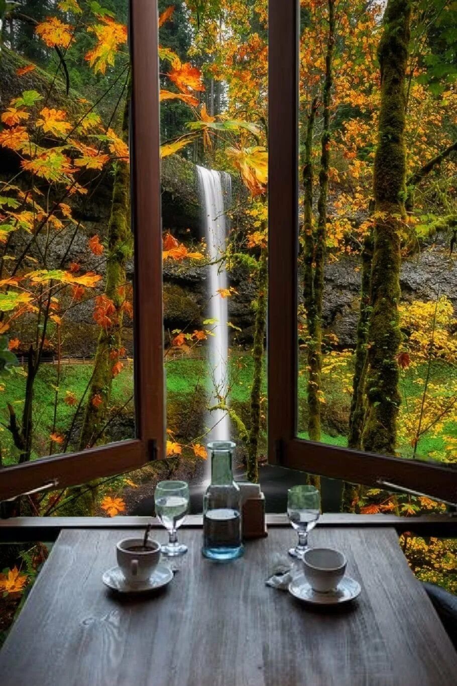 Уютная осень. Уютная чашка. Цветы на окне. Осеннее чаепитие. Окно осень.