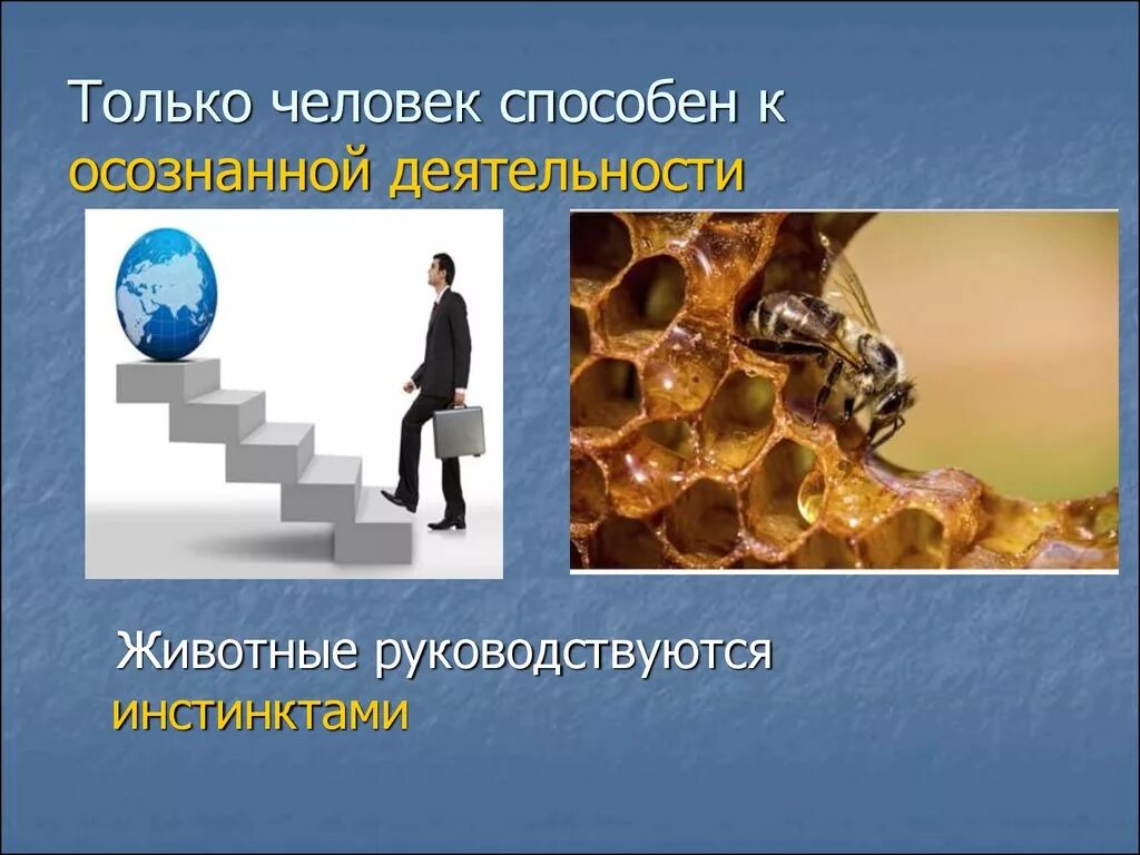 Современный человек и его деятельность. Деятельность человека. человек и его деятельность. человеческая деятельность презентация. презентация на тему человек и его деятельность.