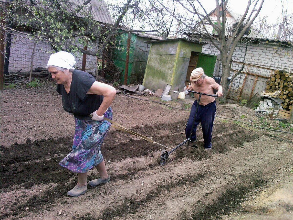 Устала на даче. Пенсионеры в огороде. Пахать на даче. Пахать огород. Женщины пашут огород.