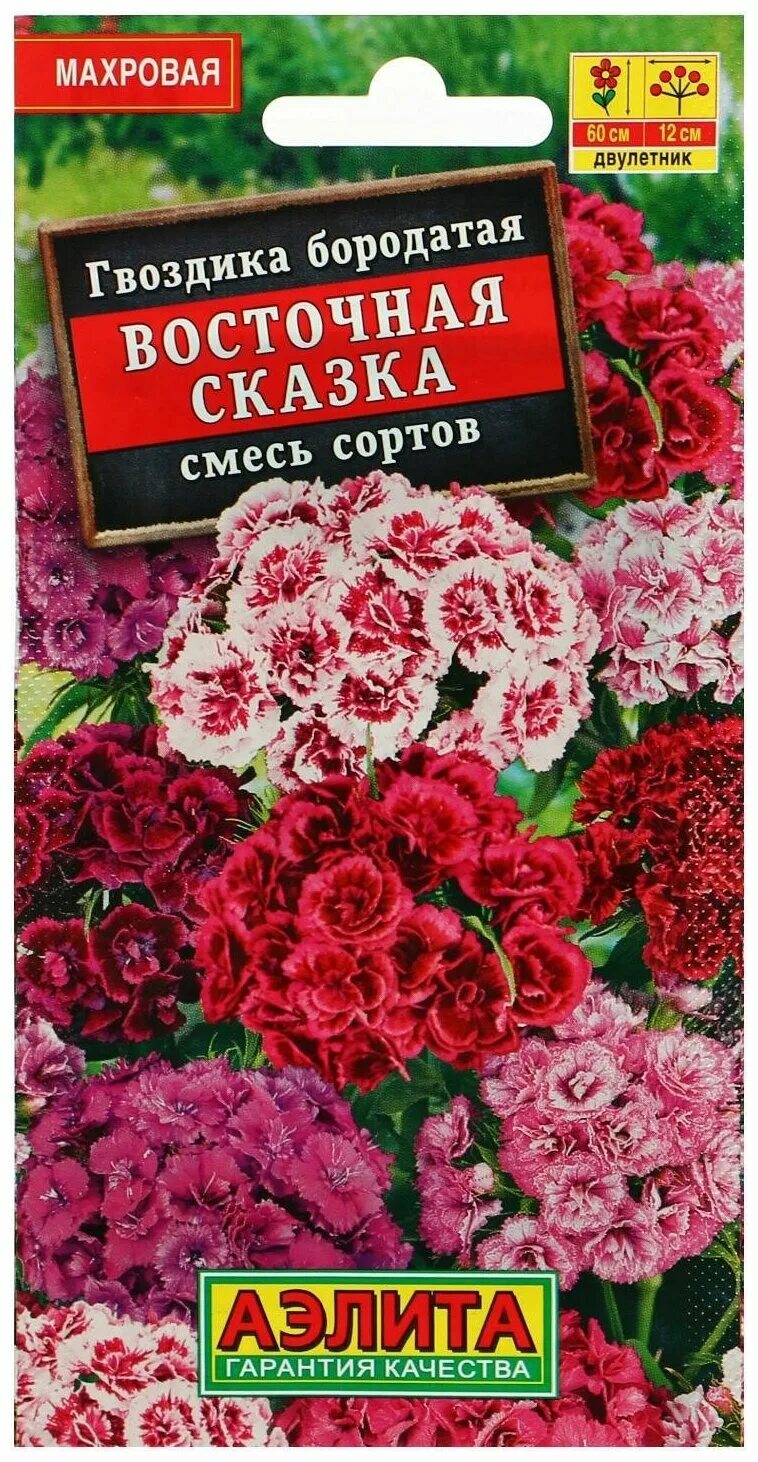 Гвоздика махровая смесь. Гвоздика Восточная сказка турецкая махровая, смесь сортов. Гвоздика турецкая Восточная сказка.