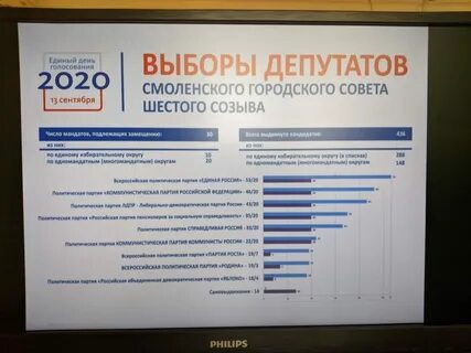 Партия самовыдвиженцев