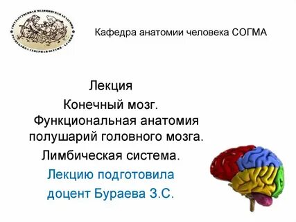 Общая анатомия это