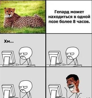 Смешные картинки про мемы