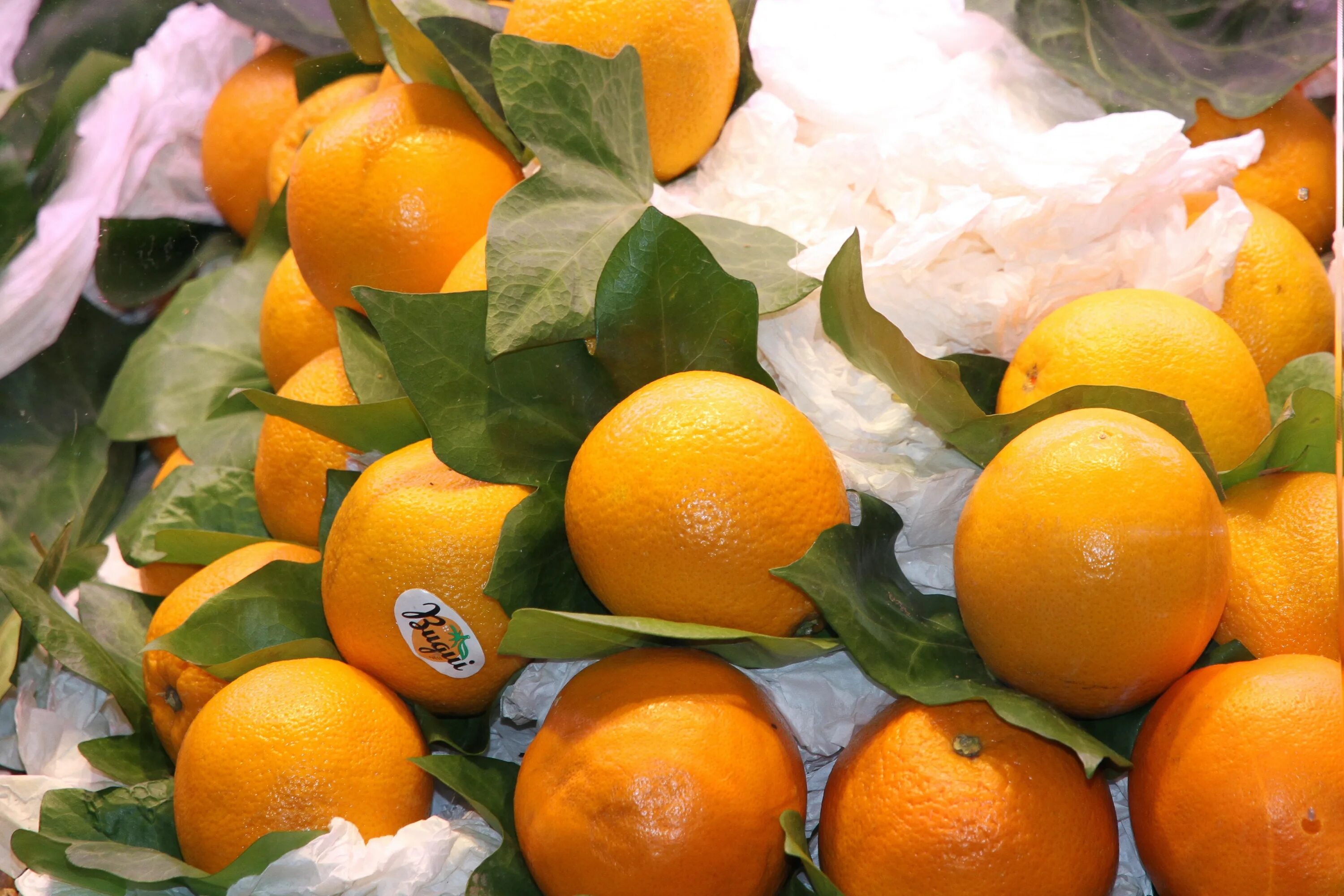 Мандарин фрукт витамины. Танжело цитрусовые. Оранжевый фрукт. Оранжевые фрукты и овощи. Гора апельсинов.