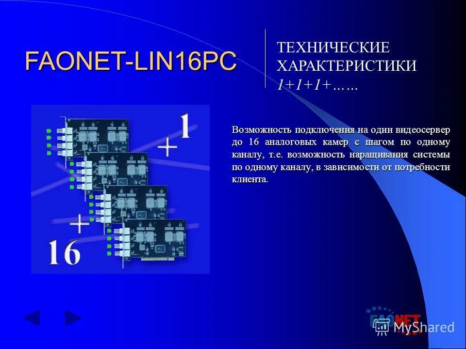 цифровая система чемпионатов