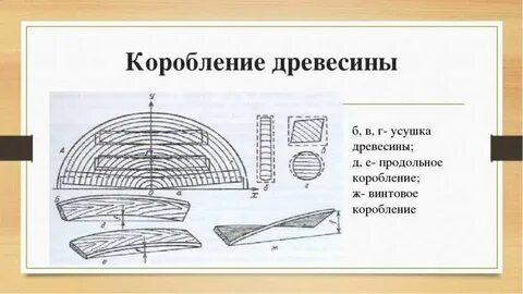 Усушка древесины