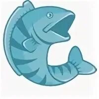 My fish