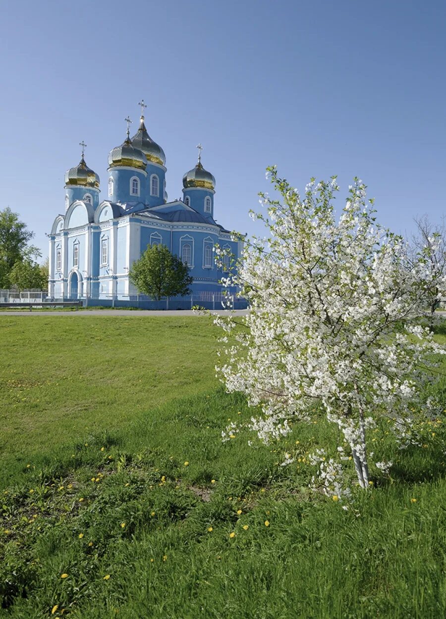 Фотографии белгородской области. Храм Успения Пресвятой Богородицы Алексеевка. Храм Алексеевка Корочанский район. Село Алексеевка Белгородская область. Село Алексеевка Корочанского района Белгородской области.