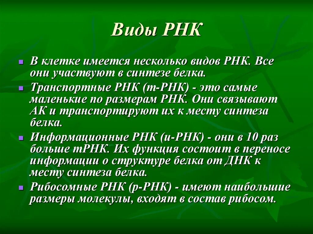 Виды рнк характеристика. Все виды РНК. Типы РНК. Виды РНК презентация.