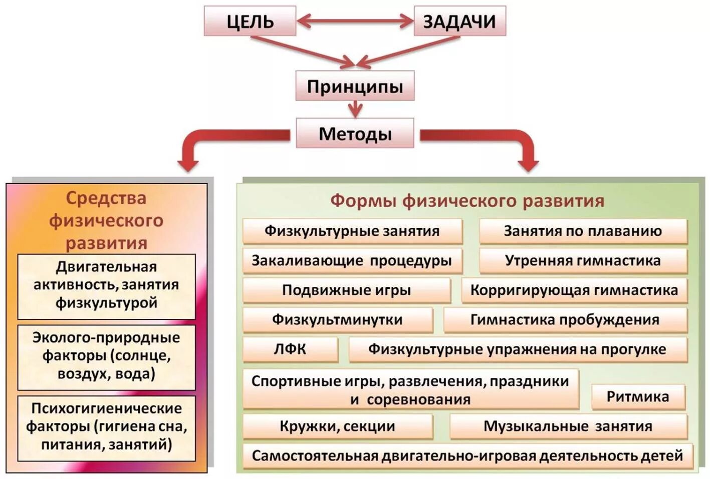 Цели и методы образования. Формы физического развития в доу по фгос. фгос доу область физическое развитие. технологии физического развития дошкольников по фгос. формы и методы работы по физическому развитию.