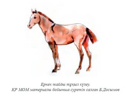 Ең қарт әжелермен 3D секс порно