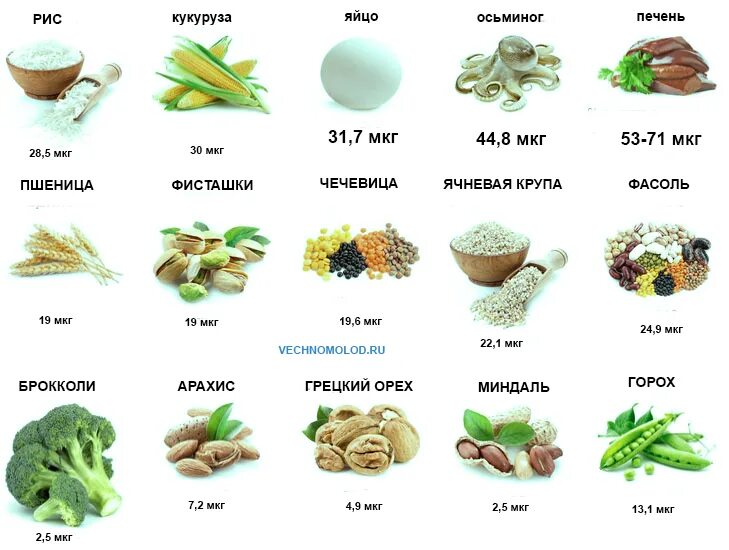 Коэнзим где содержится. Коэнзим q10 в продуктах питания. цинк хром селен в продуктах. селен продукты богатые селеном таблица. коэнзим q10 продукты таблица.