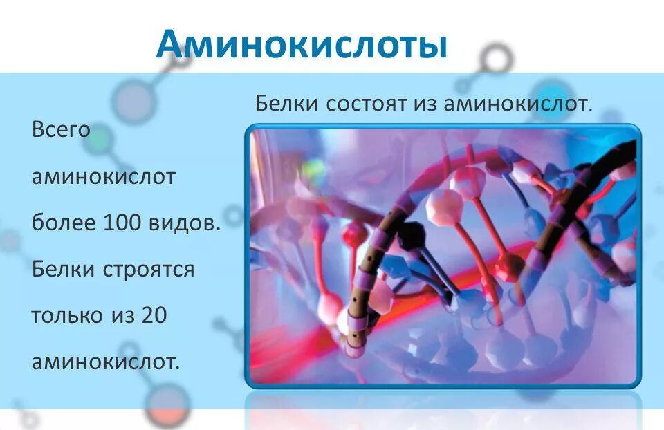 Белки в воде образуют. Белки аминокислоты. Белки состоят из аминокислот. Аминокислоты белки презентация. Белок презентация.