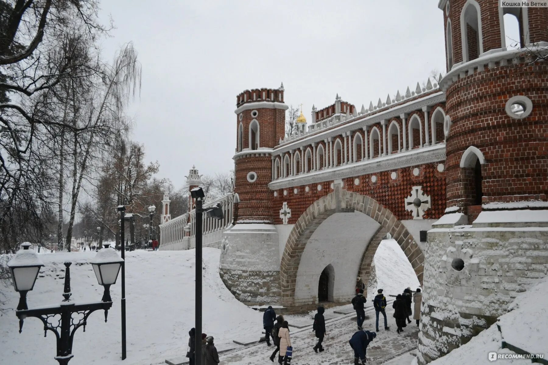 Веб камера царицыно. Музей-заповедник царицыновазной парк. Фигурный мост в Царицыно. Музей-заповедник Царицыно зарисовки.