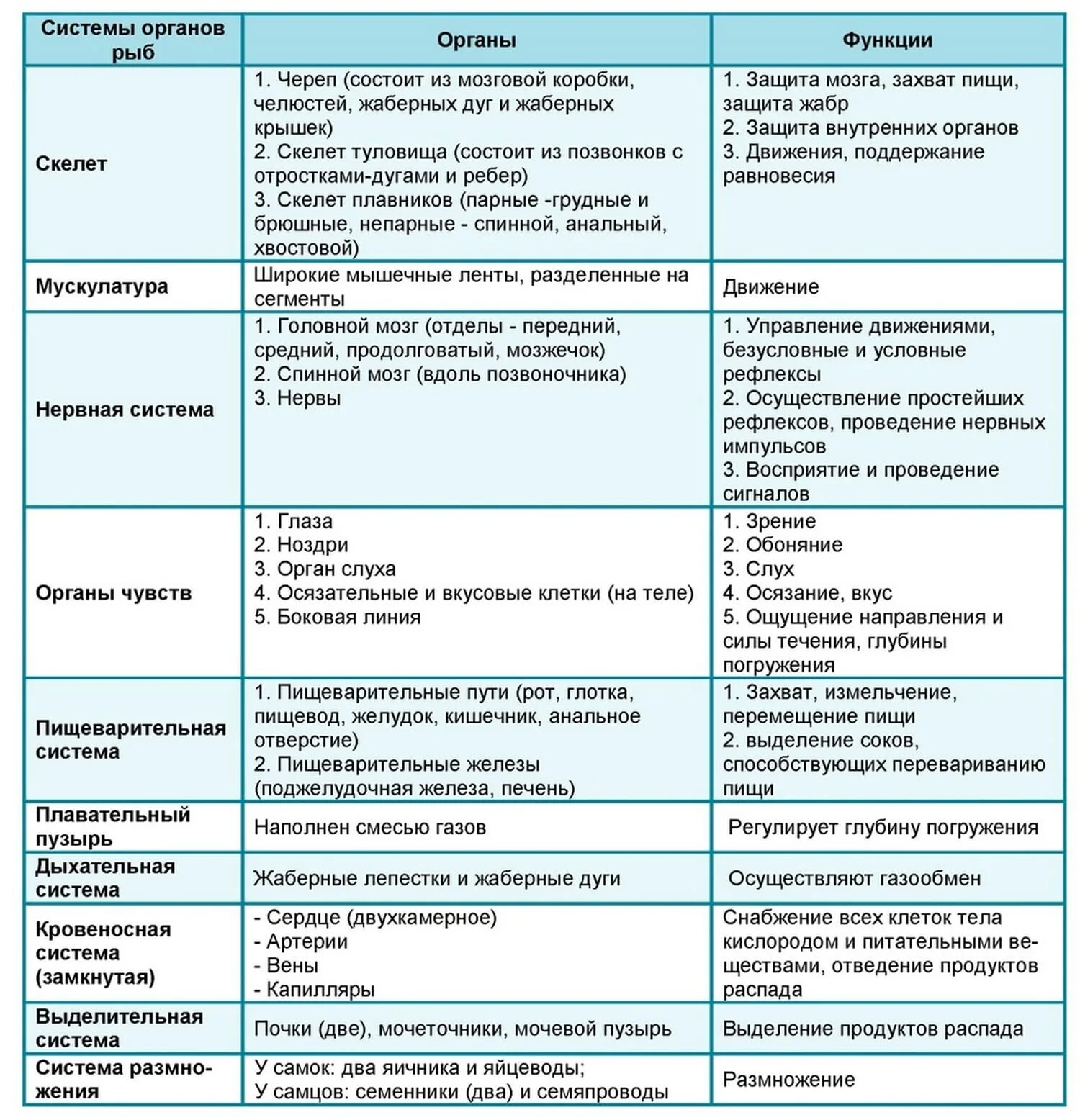 Система органов органы функции таблица по биологии 7 класс рыбы. Таблица внутреннее строение рыб система органы функции. Внутреннее строение рыб таблица система органов. Внутреннее строение рыб таблица 7 класс биология система органов.