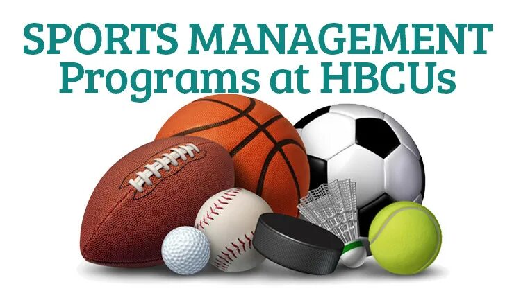 Sport programmes. Sports programme. Sport Management. Sports programme TV. ВТВ Спортс Манагемент.