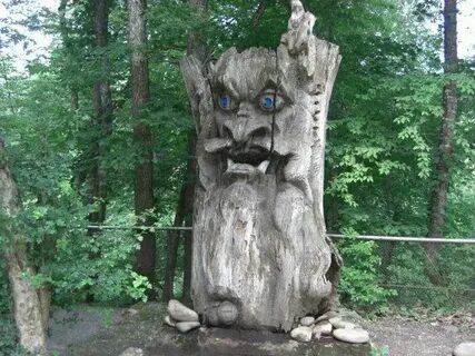Санаторий фтс адыгея лесная сказка