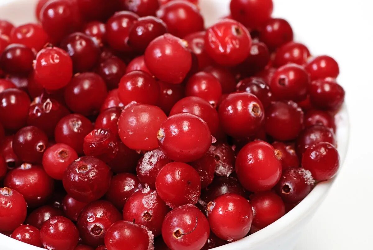 Cranberries ягода. клюква и брусника природные антибиотики. брусника кислая. круглые ягоды. клюква северянка.