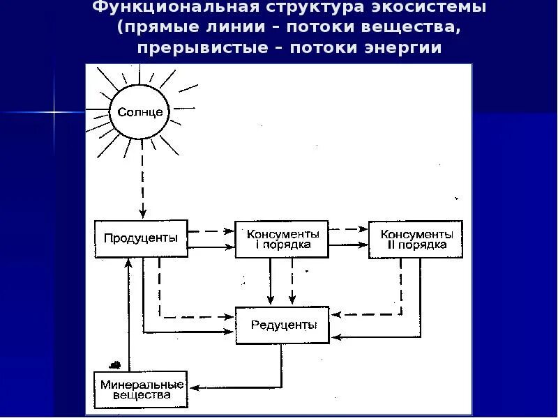 Предложите схему показывающую перенос энергии в экосистеме Картинки СКОЛЬКО ЭНЕРГИИ ПОСТУПАЕТ НА 2 ТРОФИЧЕСКИЙ УРОВЕНЬ