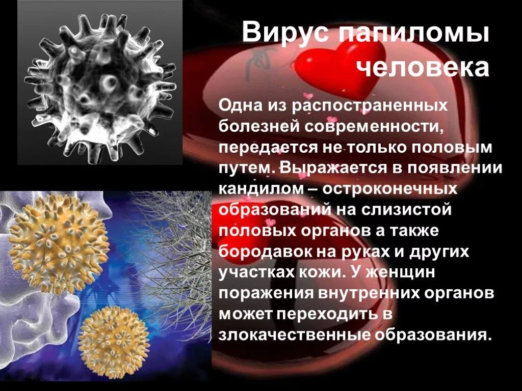 Вируспопиломы человека. Вирусные заболевания. Заболевания передающиеся половым путем. Вирус human