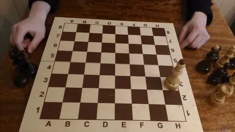Начало в шахматах 6