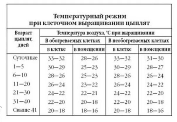 При какой температуре содержат кур