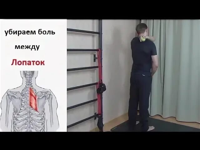 Болит между лопаткой упражнения. Боль в спине иллюстрация. Лфк для верхней части спины и шеи. Защемление между лопатками упражнения. Болит между лопаткой упражнения.