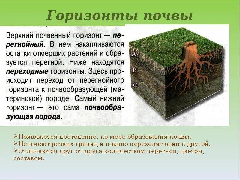 Окружающий мир тема что такое почва. Почва презентация. презентация по теме почва. презентация на тему почва. проект почва.