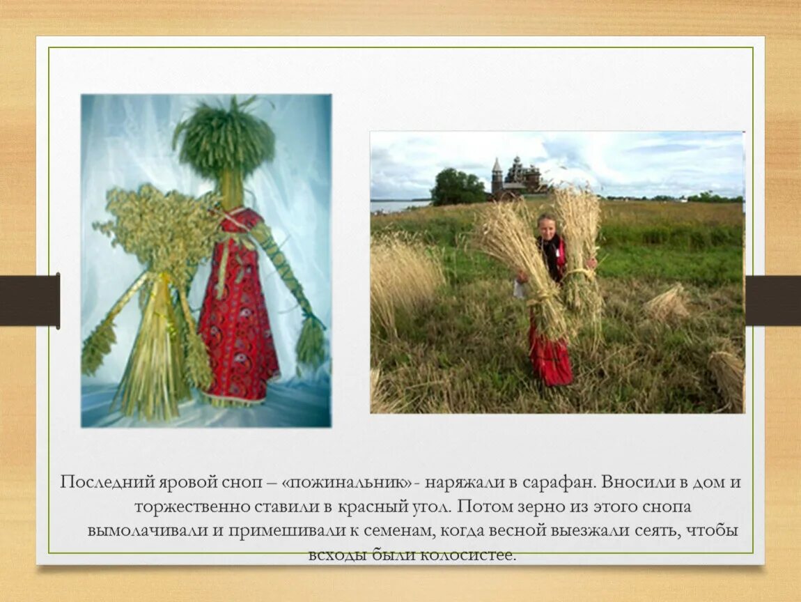 Толковое значение слова сноп. Последний сноп. последний сноп на руси. рисунок день последнего снопа. последний сноп рисунок.