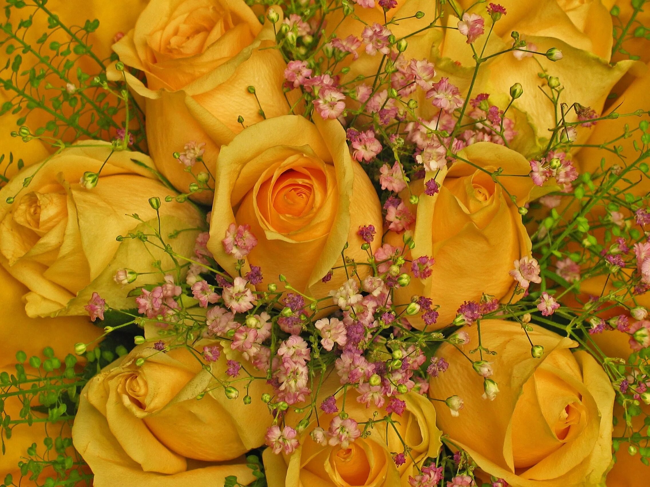 Открытка с желтыми розами. Желтые цветы букет. Красивый желтый букет. Жёлтый цветок. Букет желтых роз.
