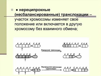 Транспозиция матрицы