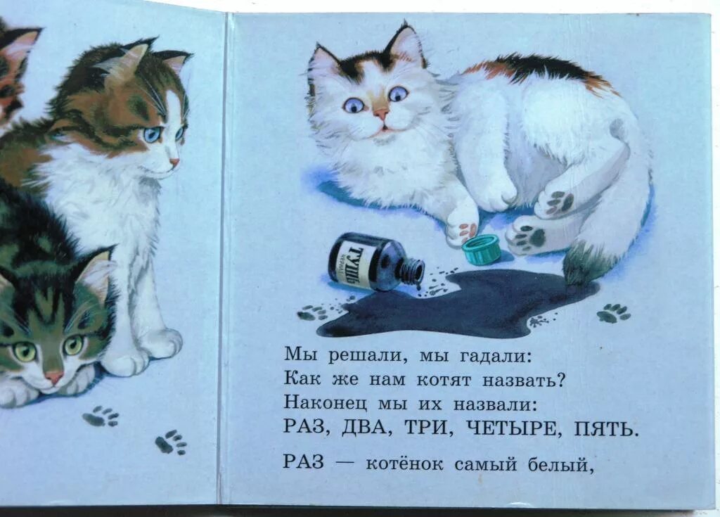 Чье стихотворение котенок. Считалка Михалкова про котят. Михалков считалочка котята. Считалка котята Михалков. Считалочка 5 котят Михалков.