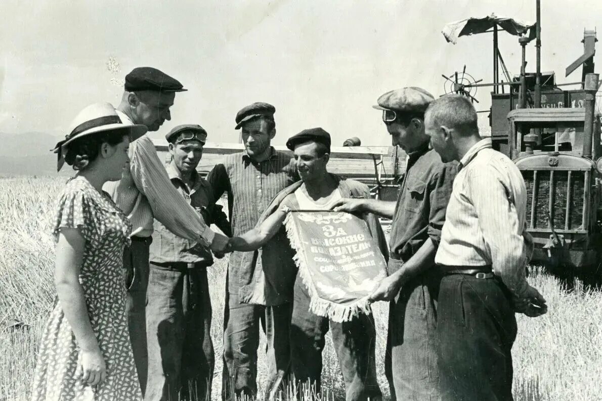 Фактически освоено. Целина 1954. Целина в Казахстане 1954. Целина 1954 Хрущев. Казахстан Целина СССР.