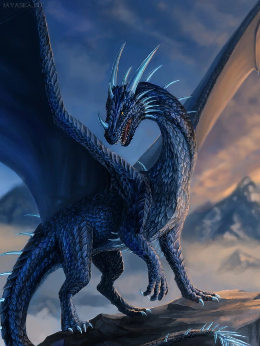 Красивый дракон. Очень красивые драконы. Самые красивые драконы. Большой красивый дракон.