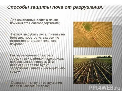 Для защиты почвы от разрушения человек