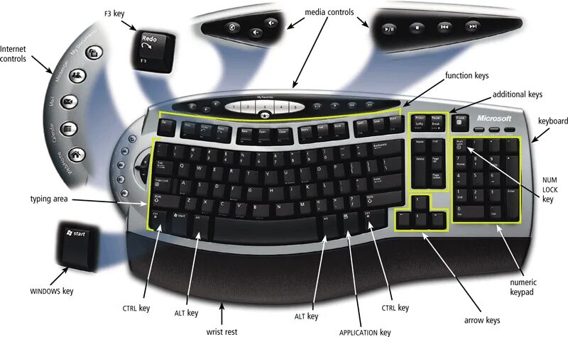 Keyboard double arrow left. Up arrow на клавиатуре. function keys на клавиатуре. arrow keys клавиша. клавиша down arrow на клавиатуре.