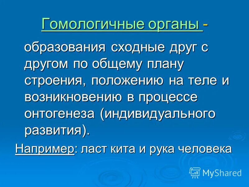 Органы сходные по функциям