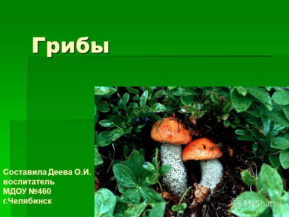 Грибы составить предложение. Грибы составить предложение. Грибы составить предложение. Рассказ о грибах 2 класс. Придумать предложение со словом гриб.