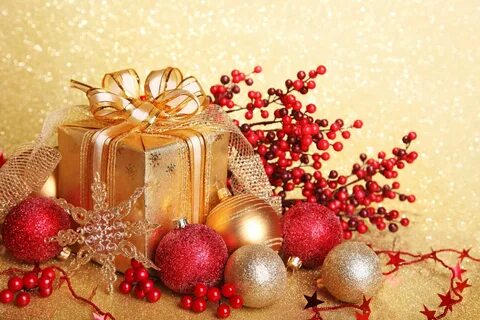 Нов онл