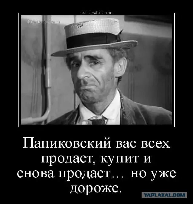 Паниковский всех продаст. Паниковский вас всех продаст. Паниковский всех купит и продаст. Паниковский вас всех купит и продаст. Брей я уже в дороге