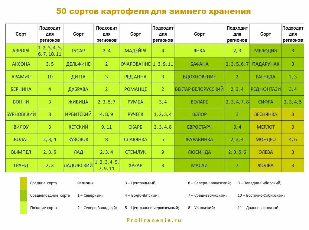Оценка сортов картофеля. Сроки созревания картофеля по сортам таблица. характеристики сортов картофеля таблица. сравнение сортов картофеля таблица. таблица сортов картофеля по регионам.