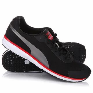 Puma v3
