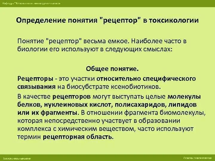 Понятие рецепторов