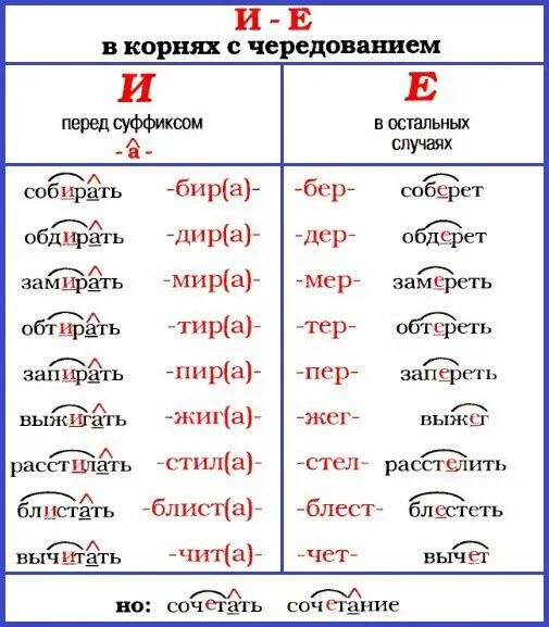 Дерево орфограмма в корне
