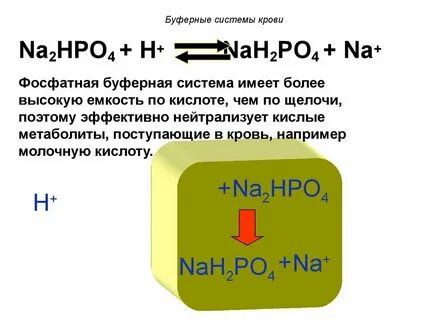 Буферная емкость фосфатной буферной системы