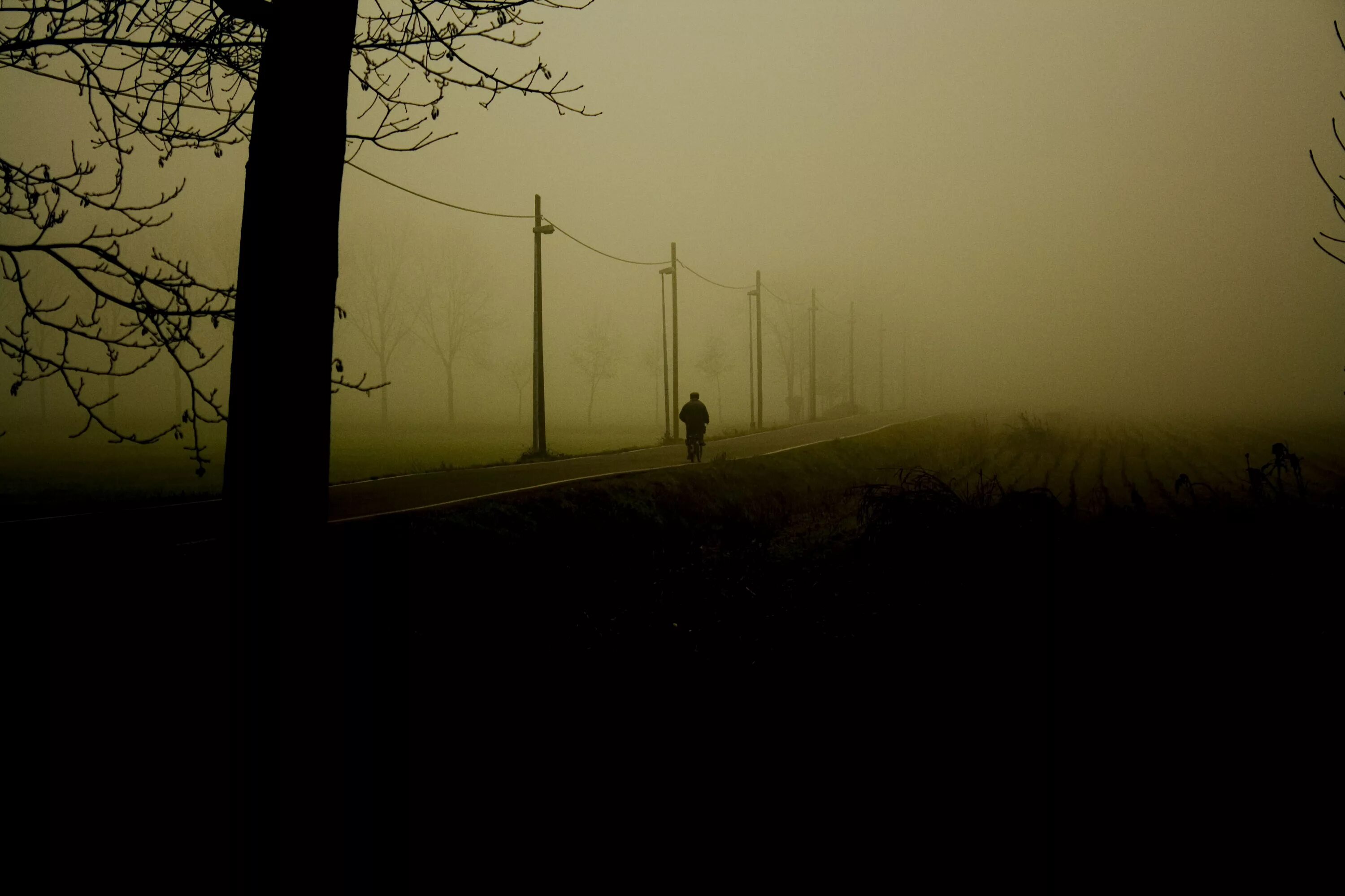 Dark farms. Мрачное одиночество. Это одиночество. Одиночество природа. Мрачный фон для фотошопа.