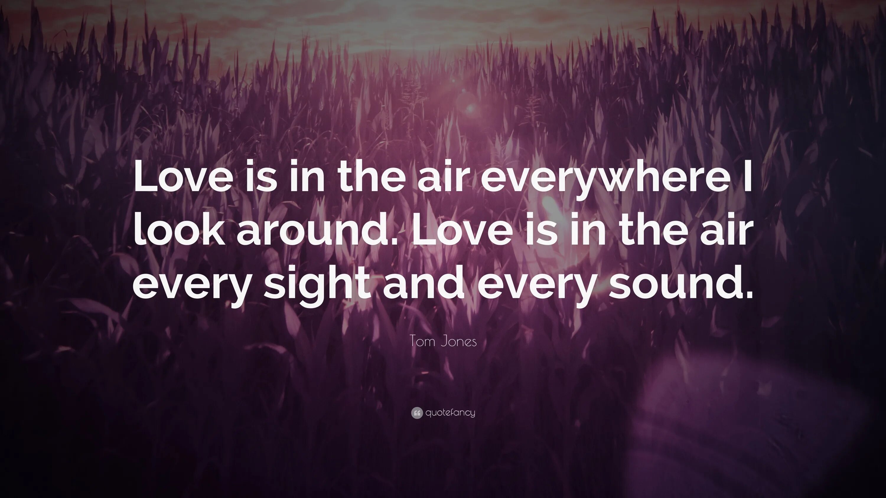 I just look around. Love is in the air quote. love is all around me. quotefancy. love is in the air everywhere i look around песня.