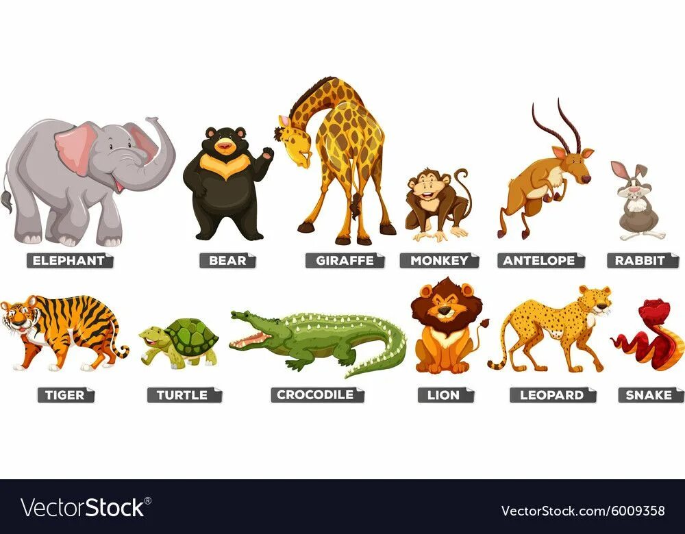 Лев тигр жираф. Жираф слон Лев обезьяна. Карточки животных для детей крокодил,. Wild animals название. Лев тигр слон.