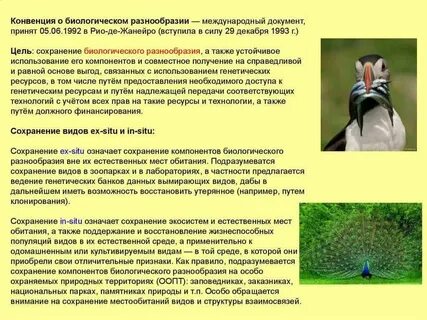 Категории сохранения видов