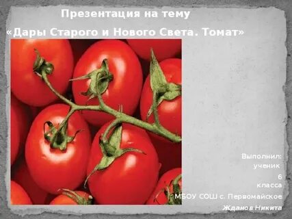 Дары старого и нового света сообщение